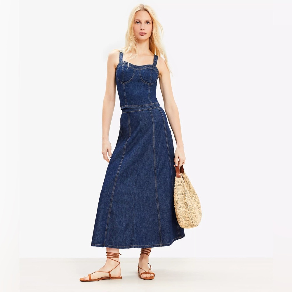 NWT Chambray Seamed Midi Skirt